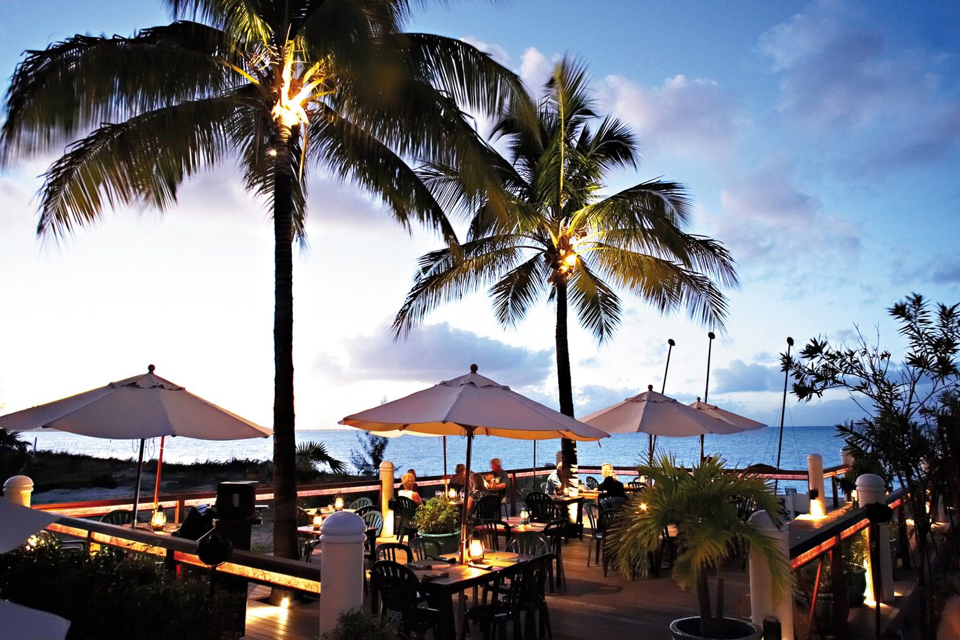 Hemingway's at dusk, under the palms beside the beach