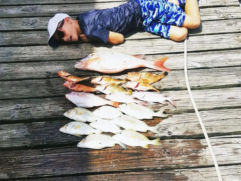 A young angler lying on a dock beside a row of snapper from a bottom fishing trip