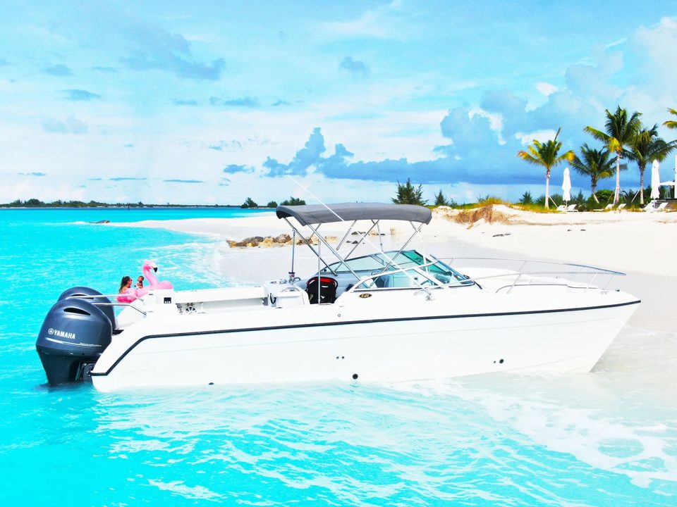 A Rising Tide Tours charter boat pulled up on a white sand beach lined with palms