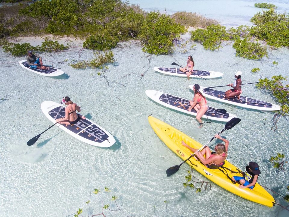 A group on paddleboards and a yellow kayak in shallow water by the mangroves, seen from above