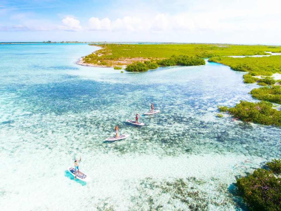 Paddlers crossing pale, shallow flats between low green mangrove islands, seen from above