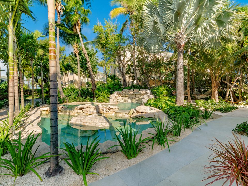 A pond and path through the tropical gardens