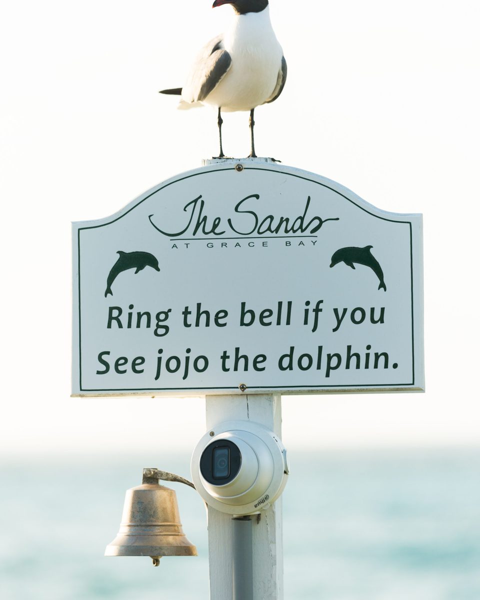 The bell on the beach, with The Sands' sign: ring the bell if you see JoJo the dolphin