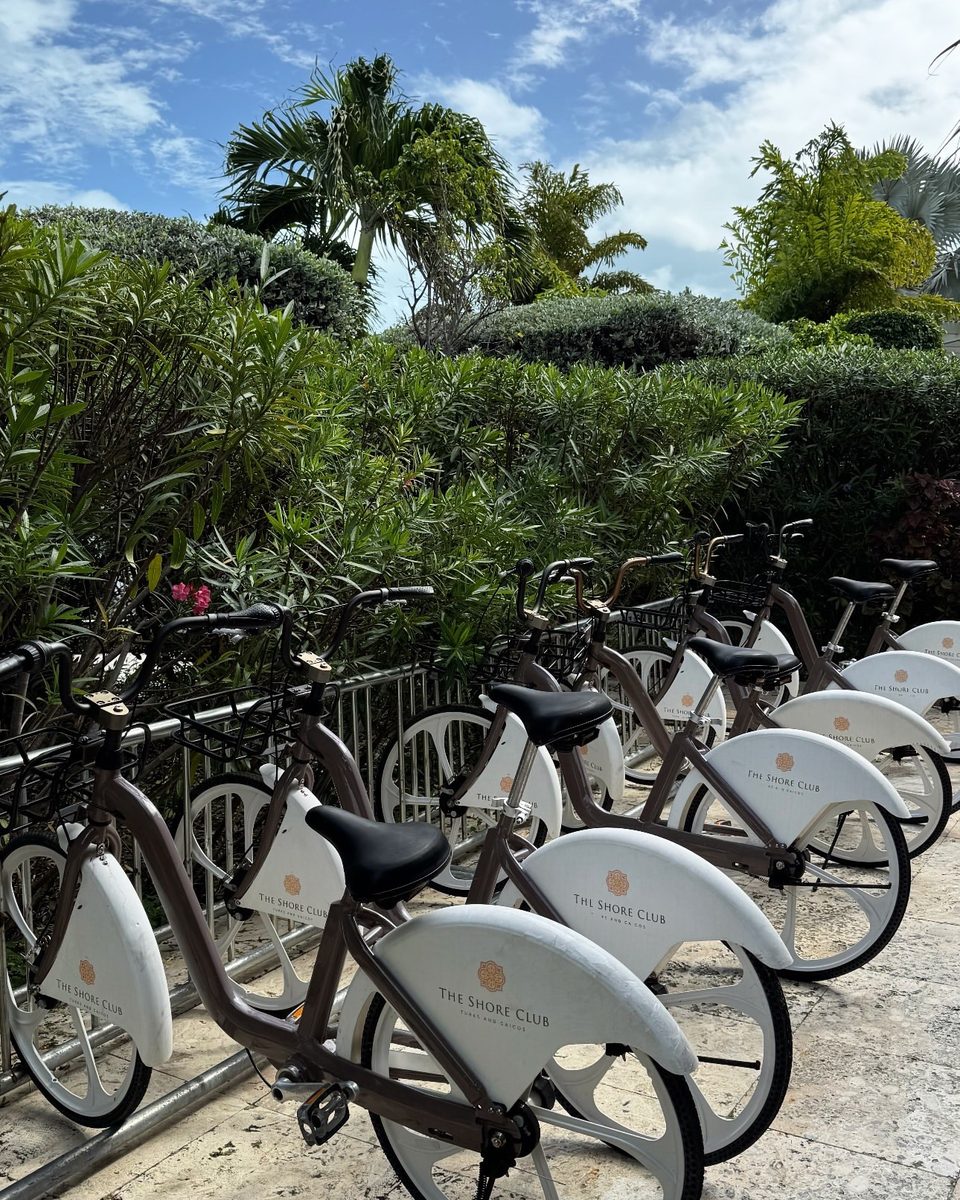 Bicycles lined up for guests