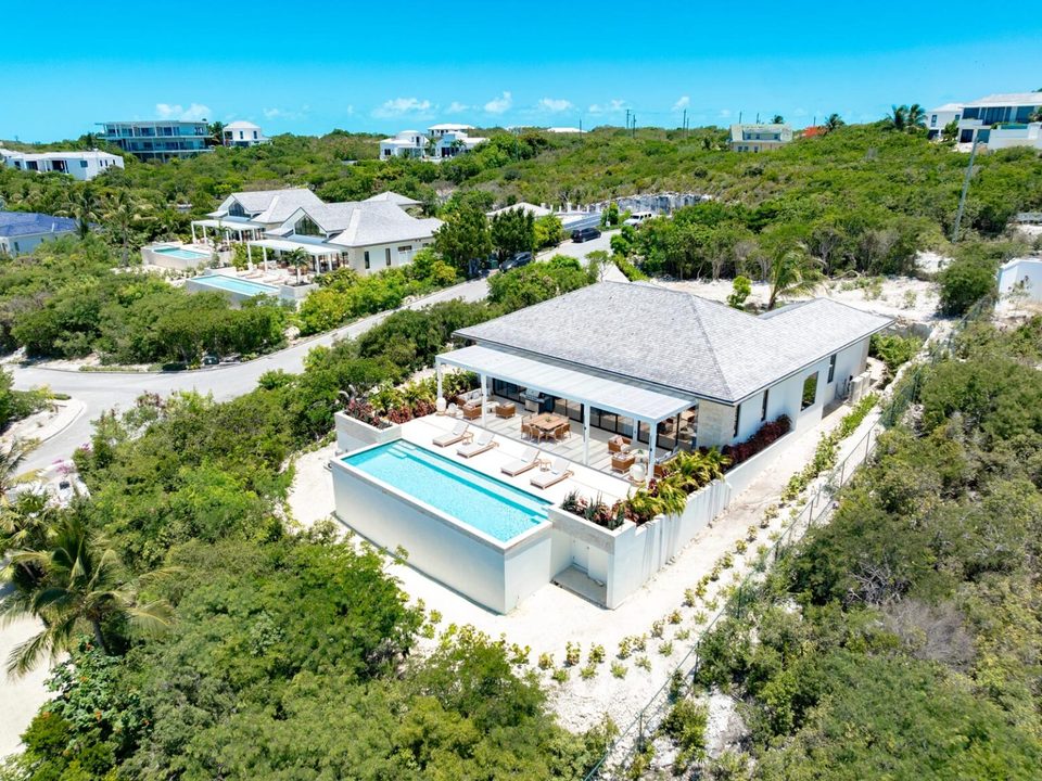 A villa and its long pool seen from above, among the gardens
